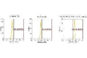 Flow Cytometry (FACS) image for anti-Cofilin 1 (CFL1) (AA 1-166) antibody (APC) (ABIN5566999)