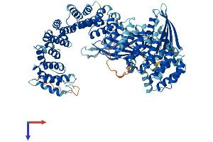AlphaFold protein structure predicition of Human Recombinant COPG1 Protein, UniprotID Q9Y678