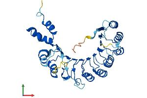 AlphaFold protein structure predicition of Mouse Recombinant Fbxl12 Protein, UniprotID Q9EPX5