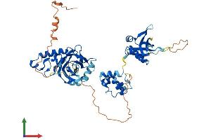 AlphaFold protein structure predicition of Human Recombinant TFCP2L1 Protein, UniprotID Q9NZI6