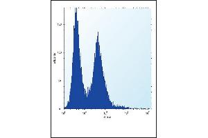 N Antibody (N-term) (ABIN389342 and ABIN2839451) flow cytometric analysis of Hela cells (right histogram) compared to a negative control cell (left histogram).