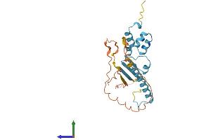 AlphaFold protein structure predicition of Human Recombinant FBXL22 Protein, UniprotID Q6P050