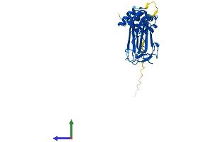 AlphaFold protein structure predicition of Human Recombinant FBXO27 Protein, UniprotID Q8NI29