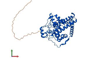 AlphaFold protein structure predicition of Mouse Recombinant Scd1 Protein, UniprotID P13516