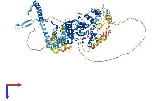 AlphaFold protein structure predicition of Human Recombinant EZH1 Protein, UniprotID Q92800