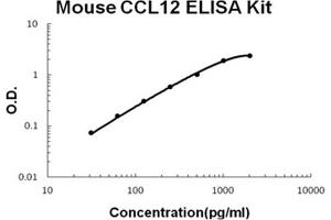 Mouse CCL12/MCP5 Accusignal ELISA Kit Mouse CCL12/MCP5 AccuSignal ELISA Kit standard curve. (Ccl12 Kit ELISA)