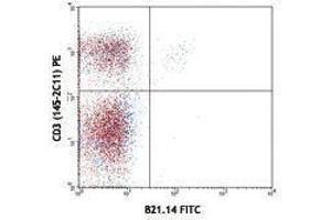 Flow Cytometry (FACS) image for anti-V alpha 8.3 TCR antibody (FITC) (ABIN2662019) (V alpha 8.3 TCR anticorps (FITC))