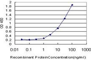 Detection limit for recombinant GST tagged AXL is approximately 1ng/ml as a capture antibody. (AXL anticorps  (AA 30-140))