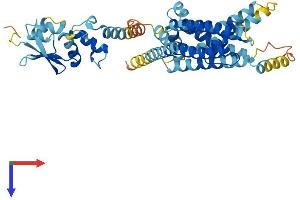AlphaFold protein structure predicition of Mouse Recombinant Kcng3 Protein, UniprotID P59053
