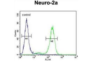 Flow cytometric analysis of Neuro-2a cells using DDX11 Antibody (Center) Cat. (DDX11 anticorps  (Middle Region))