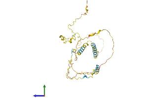 AlphaFold protein structure predicition of Human Recombinant KIAA1191 Protein, UniprotID Q96A73