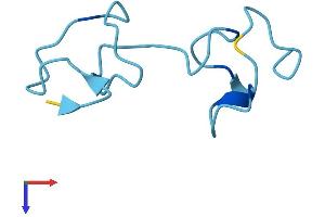 Metallothionein 2 (MT2) (AA 1-61) protein (Fc Tag)