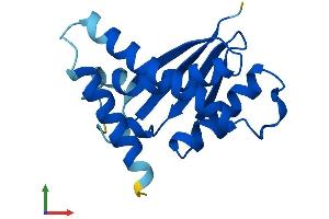 AlphaFold protein structure predicition of Human Recombinant TRAPPC6B Protein, UniprotID Q86SZ2