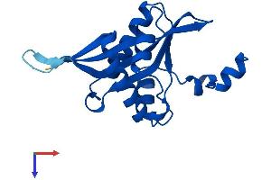 AlphaFold protein structure predicition of Mouse Recombinant Sat2 Protein, UniprotID Q6P8J2