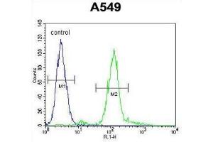 Flow Cytometry (FACS) image for anti-Zinc Finger E-Box Binding Homeobox 1 (ZEB1) antibody (ABIN2906392) (ZEB1 anticorps)