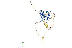 AlphaFold protein structure predicition of Mouse Recombinant Fev Protein, UniprotID Q8QZW2