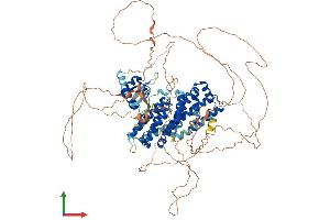 AlphaFold protein structure predicition of Human Recombinant RFX6 Protein, UniprotID Q8HWS3