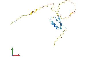 AlphaFold protein structure predicition of Mouse Recombinant Ripply2 Protein, UniprotID Q2WG76