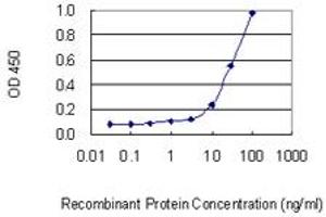 Detection limit for recombinant GST tagged PRPF4B is 1 ng/ml as a capture antibody. (PRPF4B anticorps  (AA 898-1005))