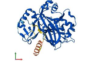 AlphaFold protein structure predicition of Human Recombinant FAHD2B Protein, UniprotID Q6P2I3