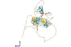 AlphaFold protein structure predicition of Human Recombinant DAZ1 Protein, UniprotID Q9NQZ3