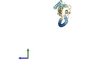 AlphaFold protein structure predicition of Human Recombinant USE1 Protein, UniprotID Q9NZ43