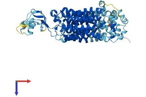 AlphaFold protein structure predicition of Human Recombinant SLC22A12 Protein, UniprotID Q96S37