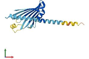 AlphaFold protein structure predicition of Human Recombinant PRELID3B Protein, UniprotID Q9Y3B1