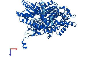 AlphaFold protein structure predicition of Human Recombinant UROC1 Protein, UniprotID Q96N76