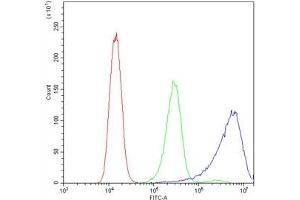 Flow cytometry testing of human A431 cells with Calpastatin antibody at 1ug/10^6 cells (blocked with goat sera) (Calpastatin anticorps  (AA 275-310))