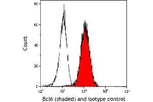 Flow Cytometry (FACS) image for anti-B-Cell CLL/lymphoma 6 (BCL6) (AA 375-425) antibody (ABIN7455109)