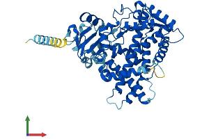 AlphaFold protein structure predicition of Human Recombinant CYP2C9 Protein, UniprotID P11712