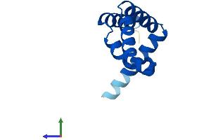 AlphaFold protein structure predicition of Human Recombinant ENY2 Protein, UniprotID Q9NPA8