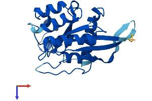 AlphaFold protein structure predicition of Human Recombinant GIMD1 Protein, UniprotID P0DJR0