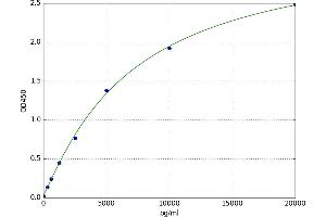 Dopamine Receptor D3 (DRD3) ELISA Kit