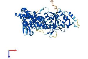 AlphaFold protein structure predicition of Mouse Recombinant Dalrd3 Protein, UniprotID Q6PJN8