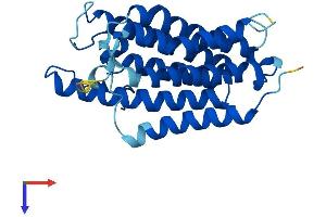 AlphaFold protein structure predicition of Mouse Recombinant Srd5a2 Protein, UniprotID Q99N99