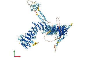 AlphaFold protein structure predicition of Mouse Recombinant Ncapd2 Protein, UniprotID Q8K2Z4