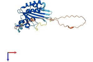 AlphaFold protein structure predicition of Human Recombinant MAF1 Protein, UniprotID Q9H063