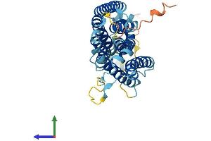 AlphaFold protein structure predicition of Mouse Recombinant Slc51a Protein, UniprotID Q8R000