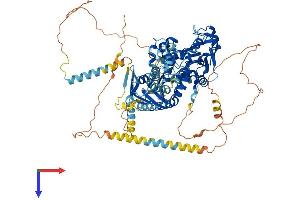 AlphaFold protein structure predicition of Human Recombinant ABCF1 Protein, UniprotID Q8NE71