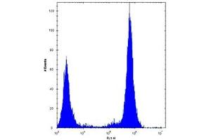 TLR4 antibody flow cytometric analysis of U251 cells (right histogram) compared to a negative control (left histogram).