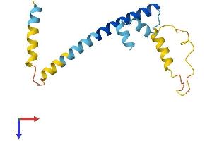 AlphaFold protein structure predicition of Human Recombinant CPLX2 Protein, UniprotID Q6PUV4