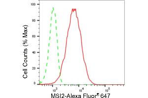 Flow cytometric analysis of MSI2 expression in HepG2 cells using MSI2 antibody (ABIN7799495), 1:2,000). (Recombinant MSI2 anticorps)