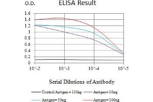 Black line: Control Antigen (100 ng),Purple line: Antigen (10 ng), Blue line: Antigen (50 ng), Red line:Antigen (100 ng) (NEFH anticorps  (AA 2-251))