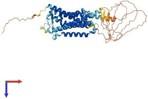 AlphaFold protein structure predicition of Mouse Recombinant Adra1a Protein, UniprotID P97718