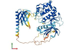 AlphaFold protein structure predicition of Human Recombinant AKT1 Protein, UniprotID P31749