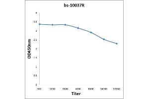 Antigen: 2 µg/100 µL  Primary: Antiserum, 1:500, 1:1000, 1:2000, 1:4000, 1:8000, 1:16000, 1:32000;  Secondary: HRP conjugated Rabbit Anti-Goat IgG at 1: 5000;  TMB staining Read the data in Microplate Reader by 450nm.