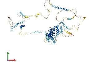 AlphaFold protein structure predicition of Mouse Recombinant Nop14 Protein, UniprotID Q8R3N1