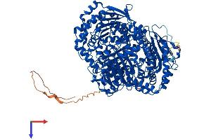 AlphaFold protein structure predicition of Human Recombinant IDE Protein, UniprotID P14735